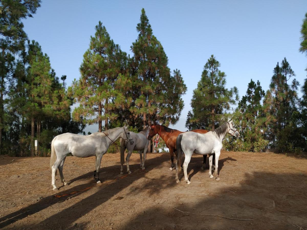 Finca Rural House Tenerife Relax And Enjoy Santa Ursula  Ngoại thất bức ảnh
