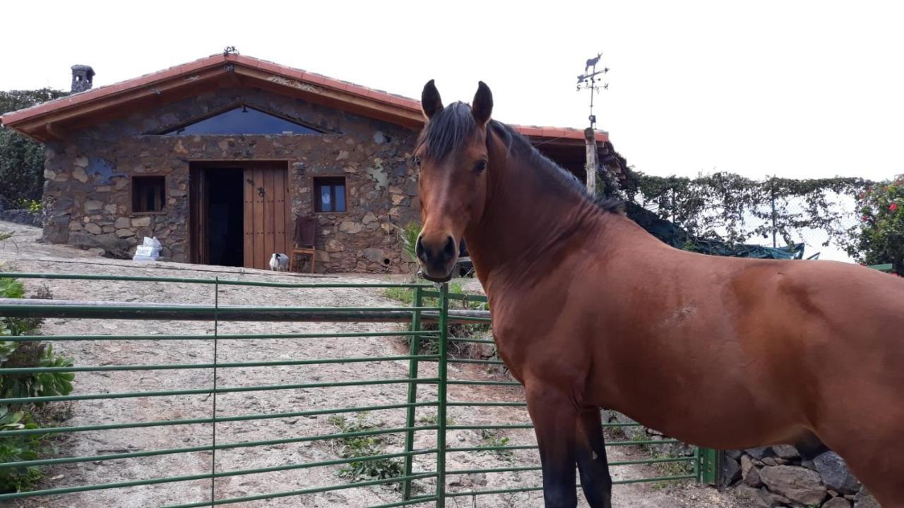 Finca Rural House Tenerife Relax And Enjoy Santa Ursula  Ngoại thất bức ảnh