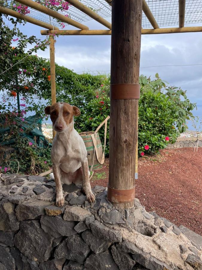 Finca Rural House Tenerife Relax And Enjoy Santa Ursula  Ngoại thất bức ảnh