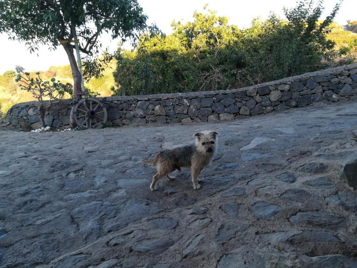 Finca Rural House Tenerife Relax And Enjoy Santa Ursula  Ngoại thất bức ảnh