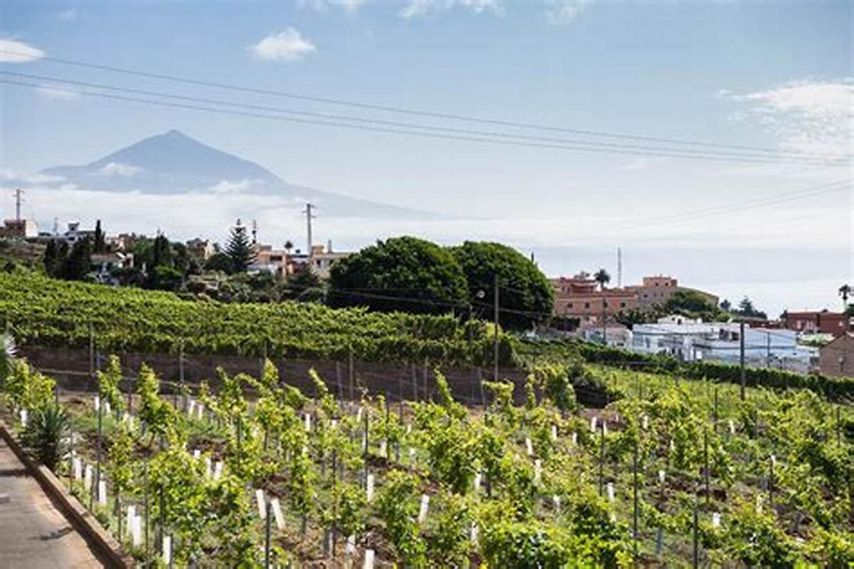 Finca Rural House Tenerife Relax And Enjoy Santa Ursula  Ngoại thất bức ảnh