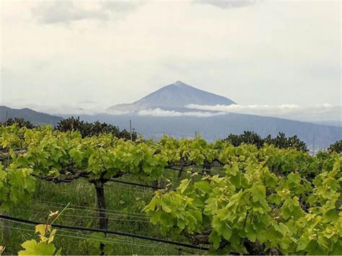 Finca Rural House Tenerife Relax And Enjoy Santa Ursula  Ngoại thất bức ảnh