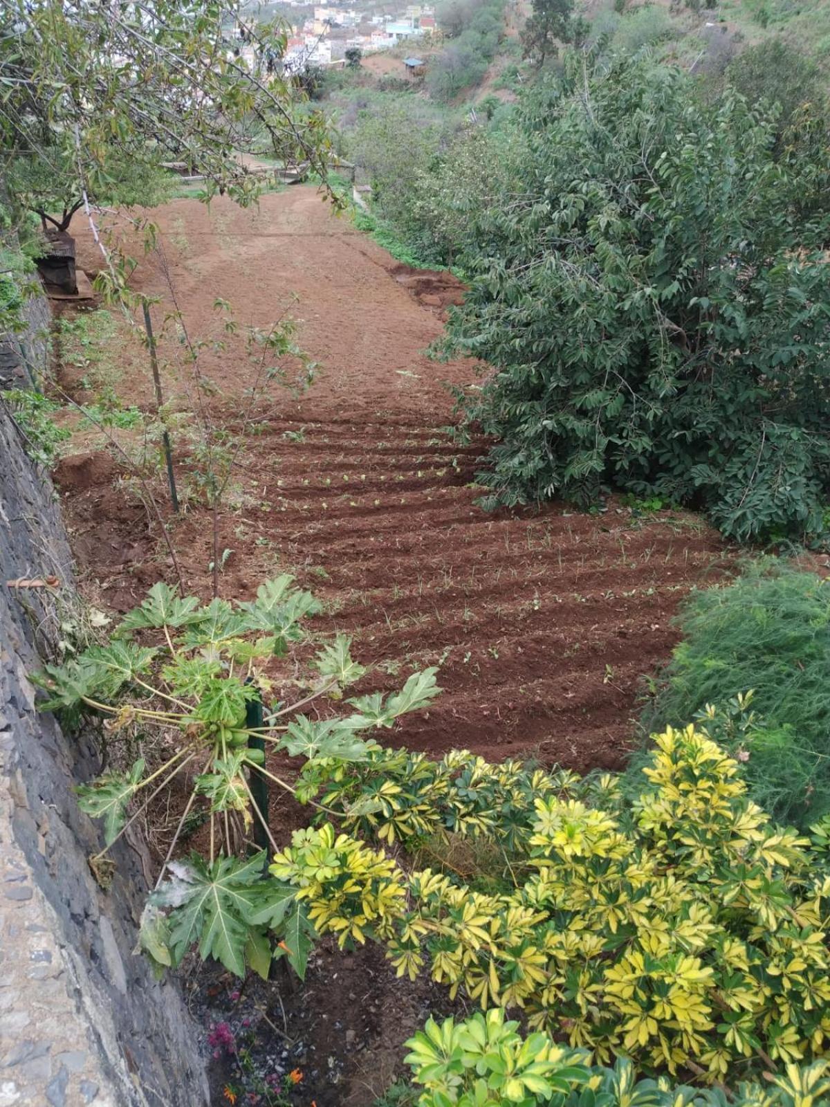 Finca Rural House Tenerife Relax And Enjoy Santa Ursula  Ngoại thất bức ảnh