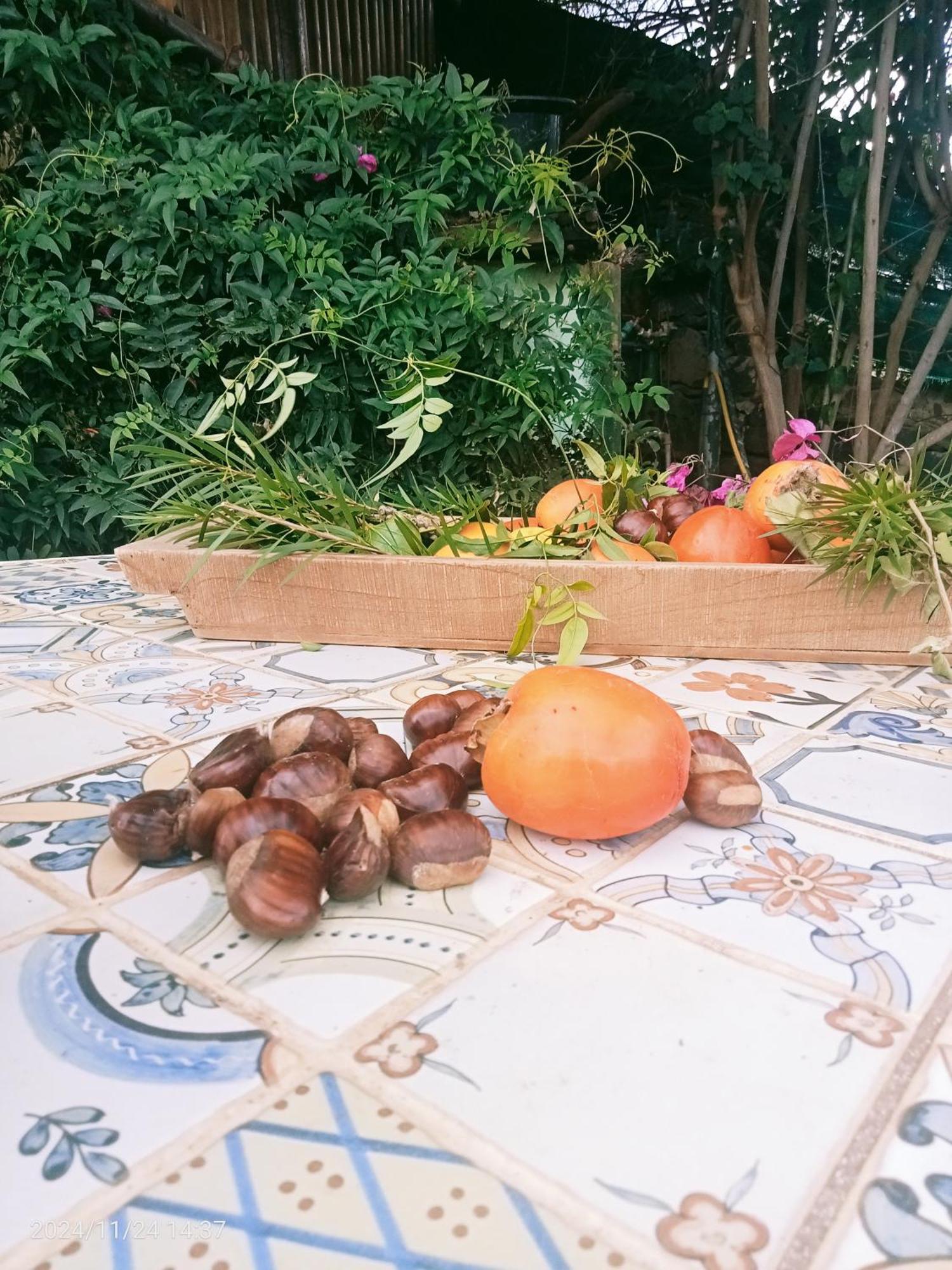 Finca Rural House Tenerife Relax And Enjoy Santa Ursula  Ngoại thất bức ảnh