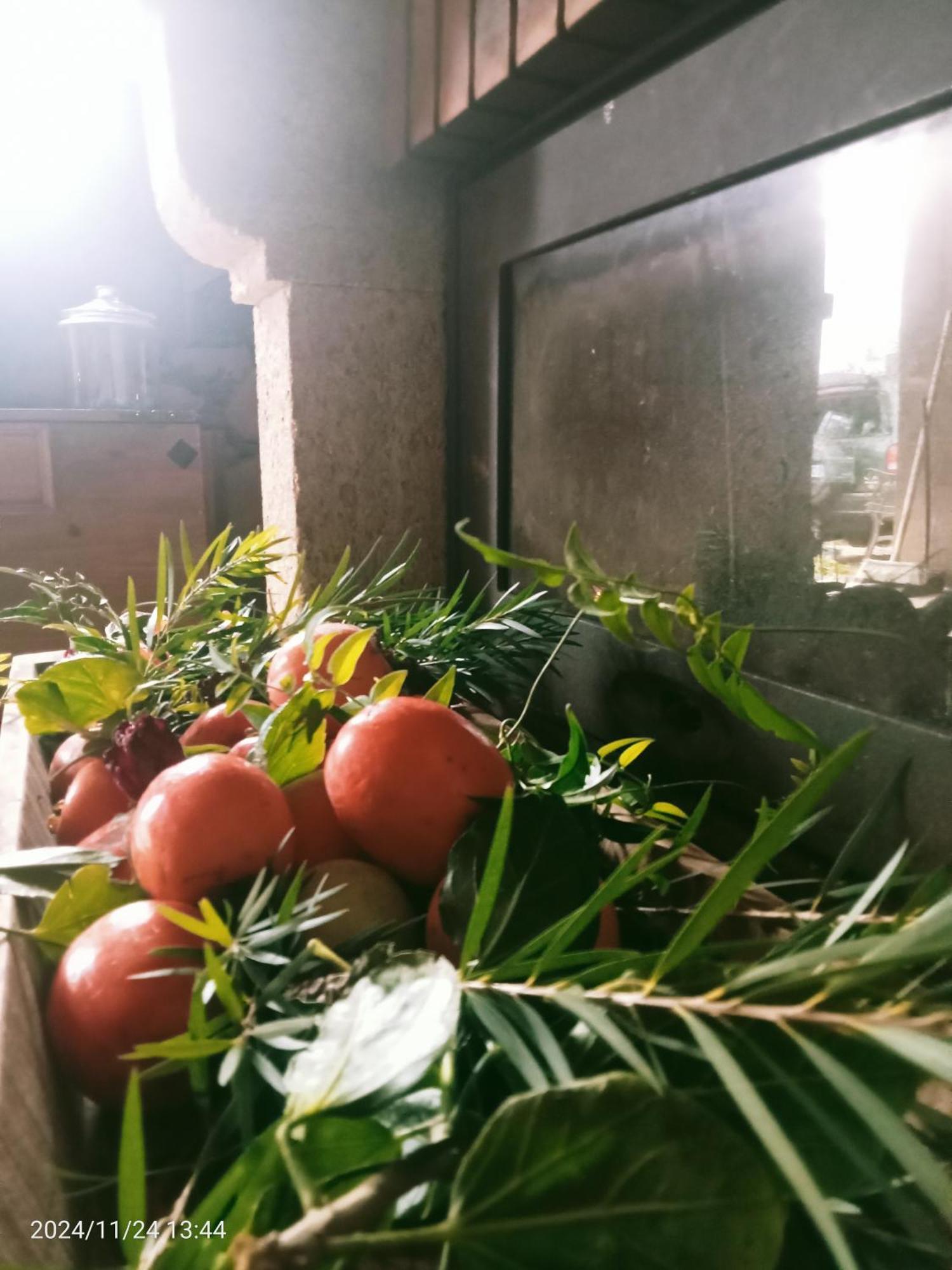 Finca Rural House Tenerife Relax And Enjoy Santa Ursula  Ngoại thất bức ảnh