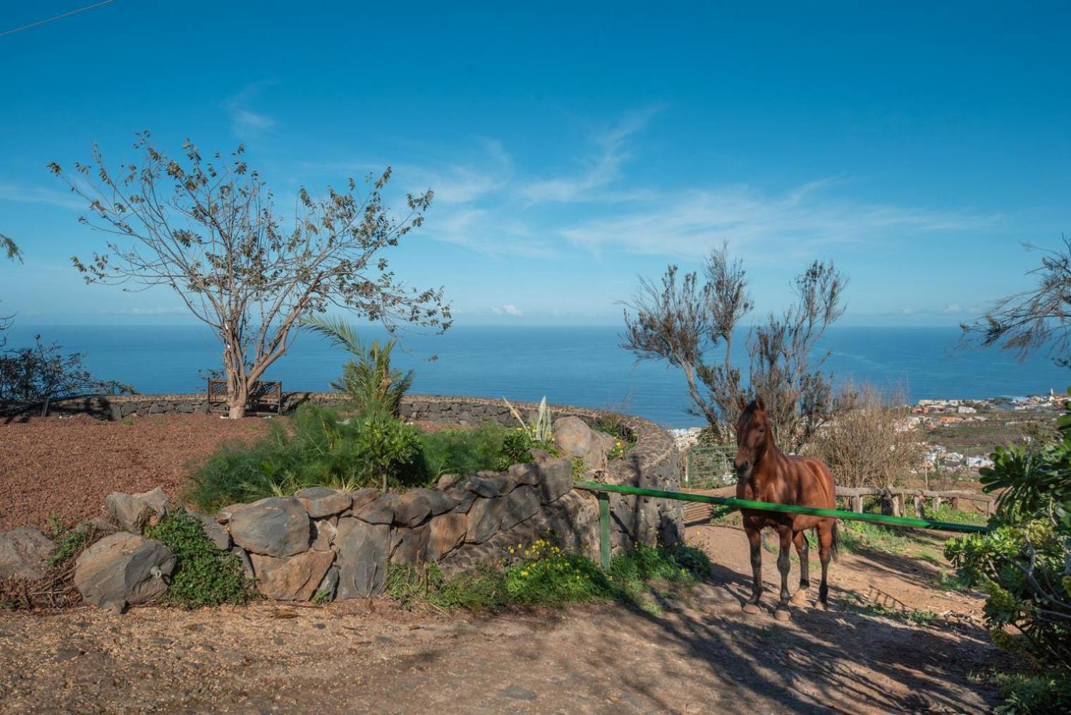 Finca Rural House Tenerife Relax And Enjoy Santa Ursula  Ngoại thất bức ảnh