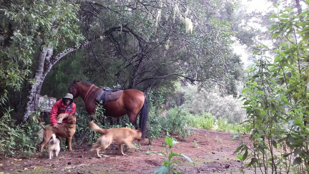 Finca Rural House Tenerife Relax And Enjoy Santa Ursula  Ngoại thất bức ảnh