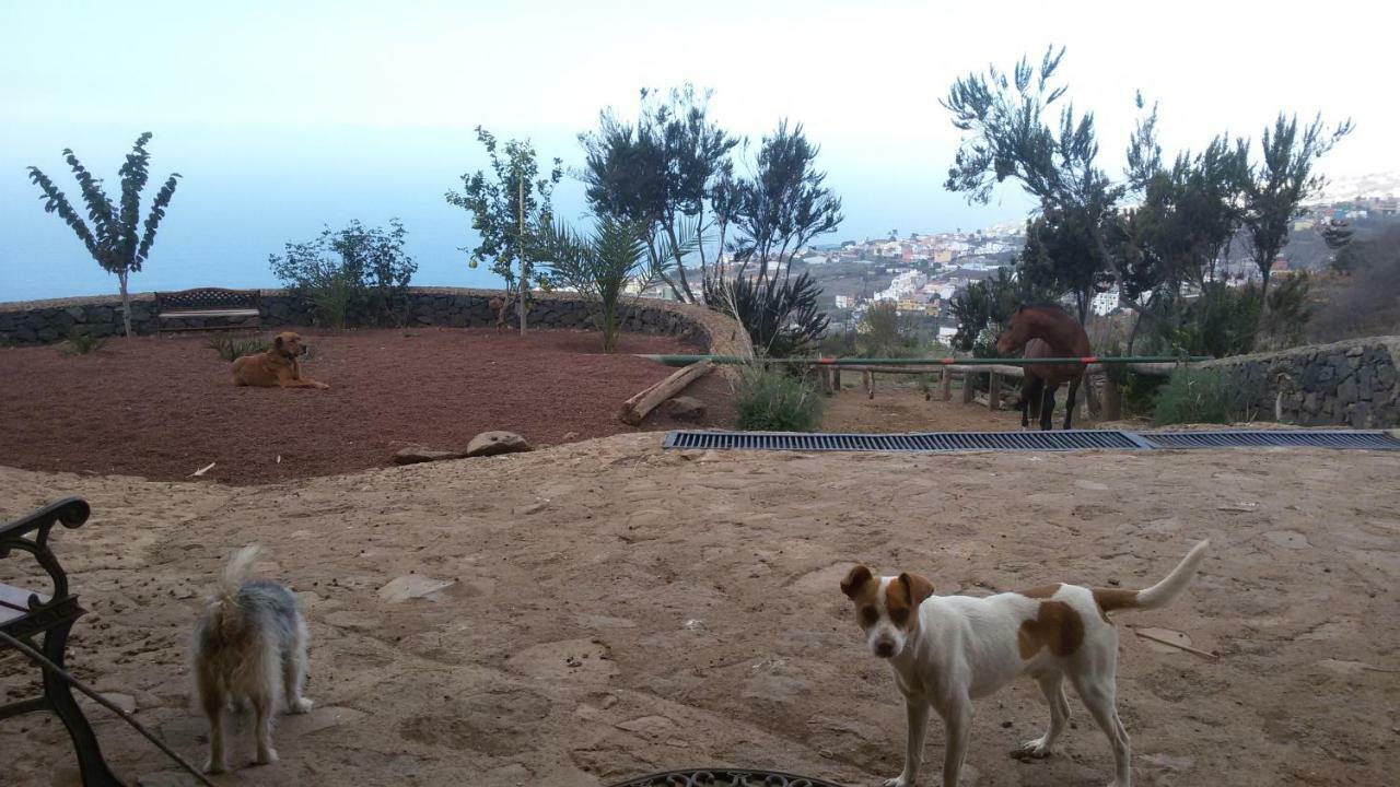 Finca Rural House Tenerife Relax And Enjoy Santa Ursula  Ngoại thất bức ảnh