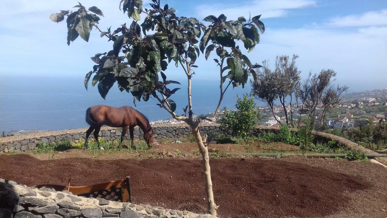 Finca Rural House Tenerife Relax And Enjoy Santa Ursula  Ngoại thất bức ảnh
